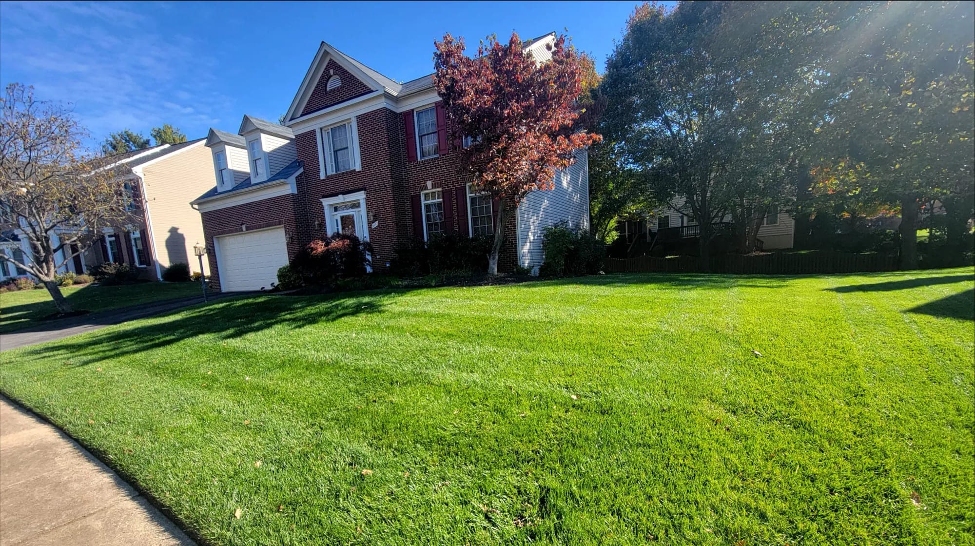 A thick, sunlit Simply Turf customer lawn in front of a brick colonial home in Northern Virginia