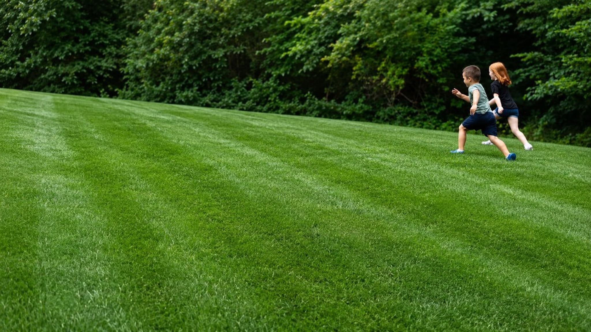 Two kids running and playing on a lush, freshly striped Northern Virginia lawn maintained by Simply Turf