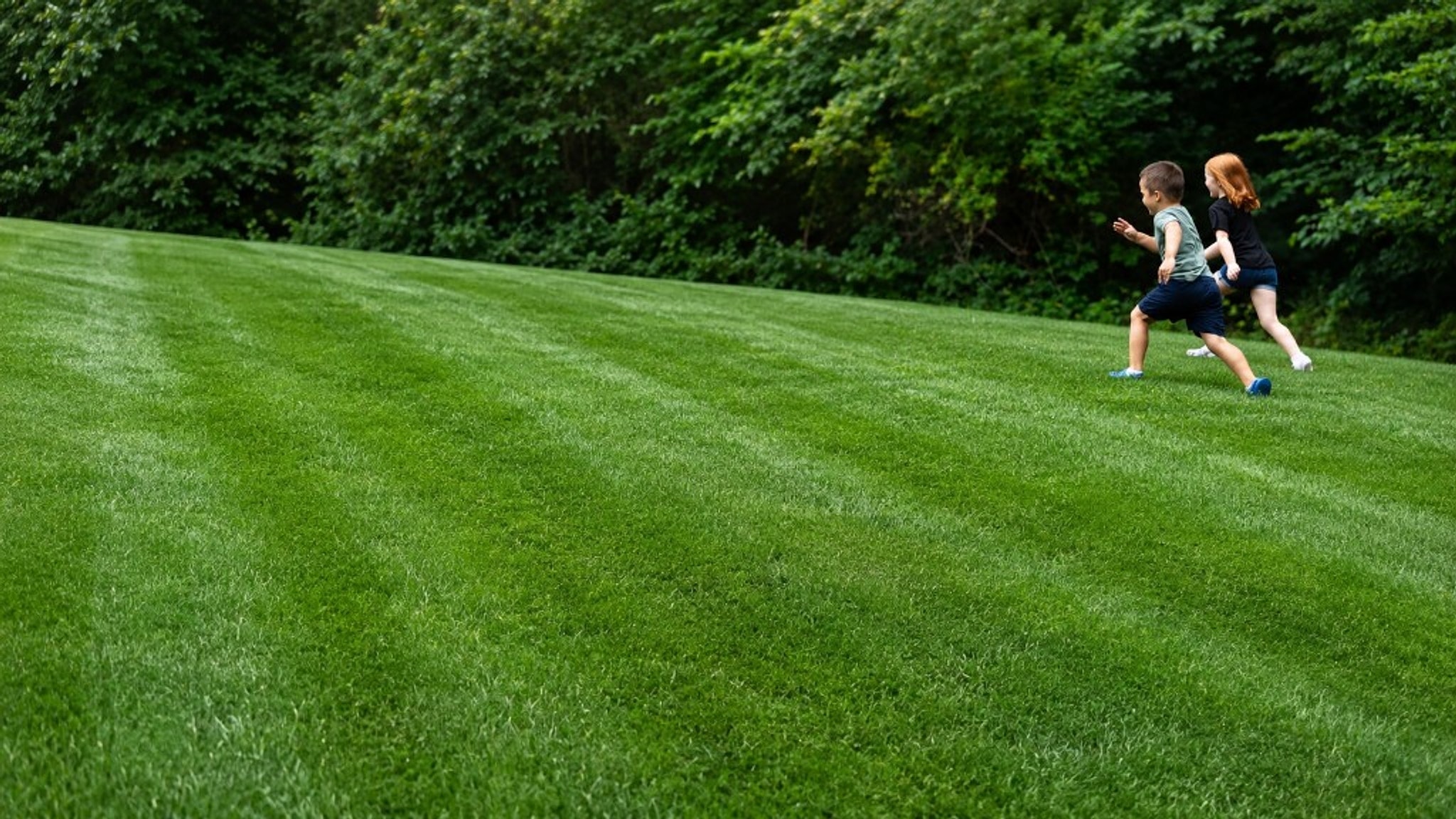 Two kids running and playing on a lush, freshly striped Northern Virginia lawn maintained by Simply Turf
