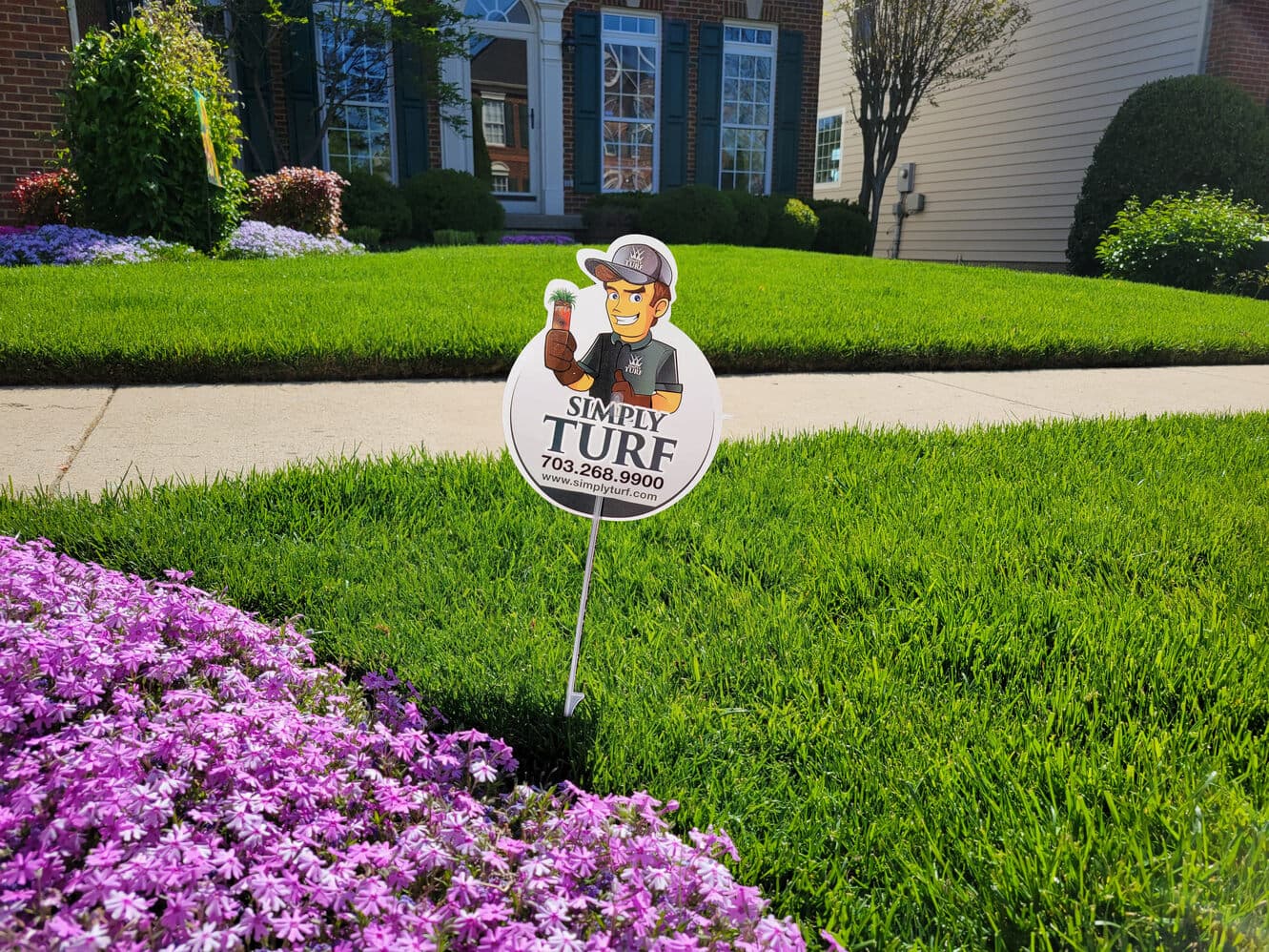A lush striped lawn with a Simply Turf yard sign and blooming phlox