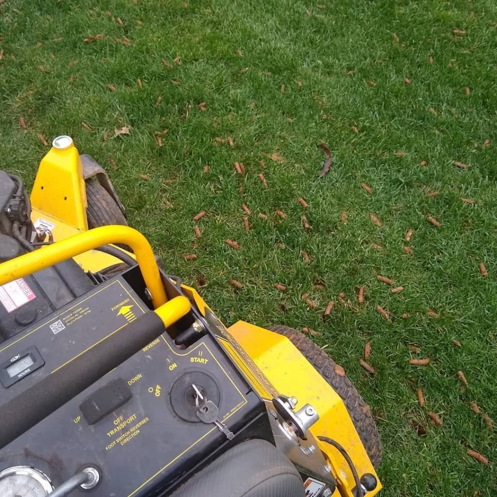 Fresh aeration cores across a lawn beside a yellow stand-on core aerator