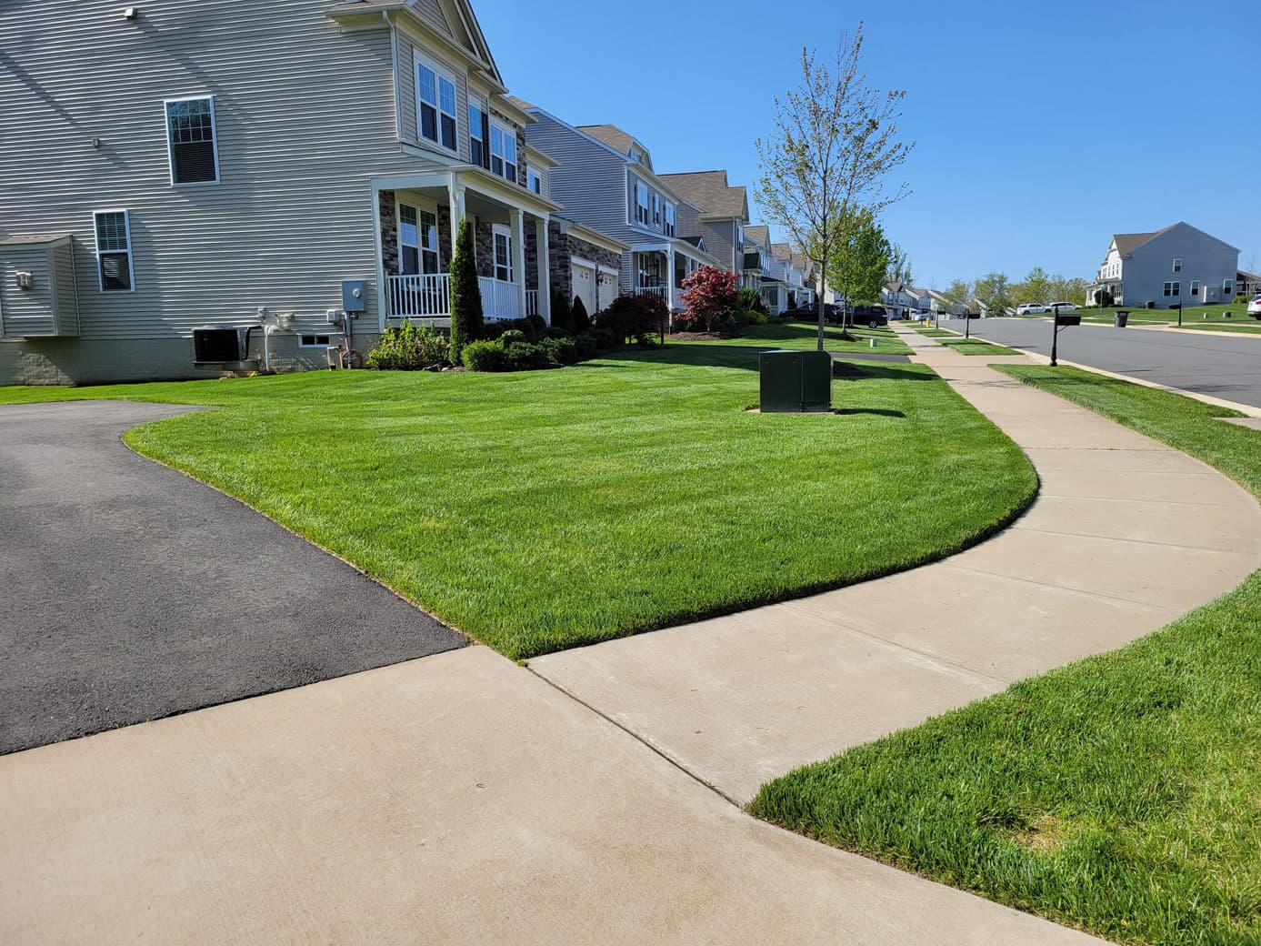 Professionally maintained lawn with mowing stripes