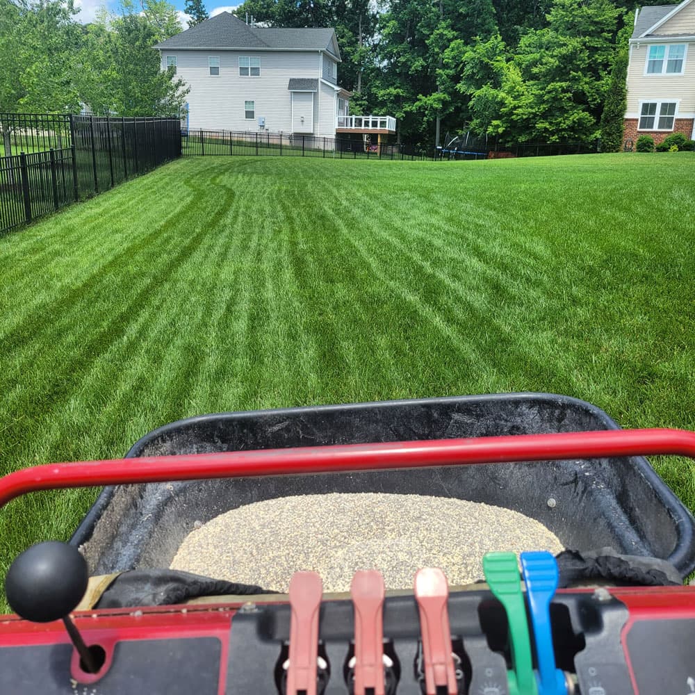 View from a Simply Turf ride-on spreader treating a striped backyard lawn